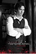 Дневники вампира, The Vampire Diaries